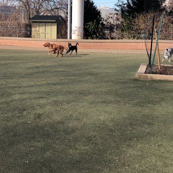 Schuylkill River Dog Run - Dog Parks Near Me - Philadelphia, Pennsylvania Schuylkill River Dog Run - Dog Parks Near Me - Philadelphia, Pennsylvania