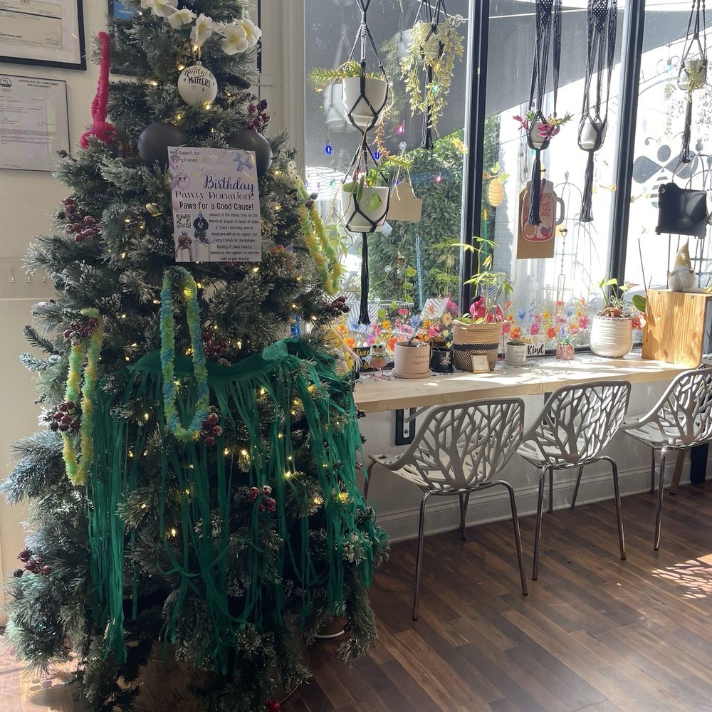 Be Kind Coffee - Coffee & Tea Near Me - Clemmons, North Carolina Be Kind Coffee - Coffee & Tea Near Me - Clemmons, North Carolina