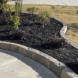 Curbing in front beds Curbing in front beds