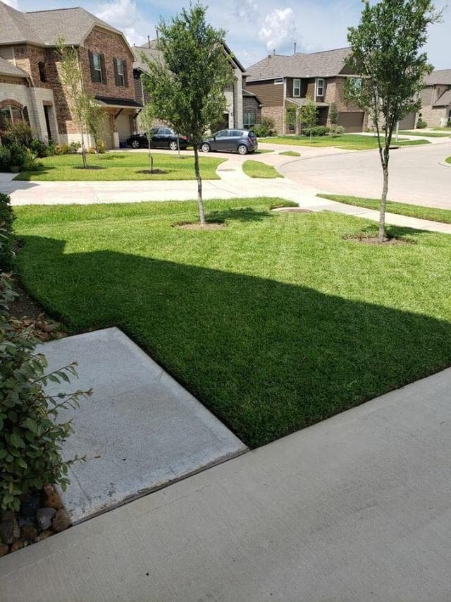 Lawn Services THE WHOLE NINE YARDS Cypress, Texas Phone Number Yelp
