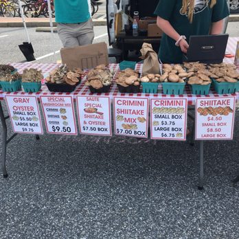 Bethany Beach Farmers Market  - Farmers Market Near Me - Bethany Beach, Delaware