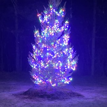 Great Outdoors - Ten foot black spruce installed and mulched. - Snow Removal Near Me - Ann Arbor, Michigan Great Outdoors - Ten foot black spruce installed and mulched. - Snow Removal Near Me - Ann Arbor, Michigan