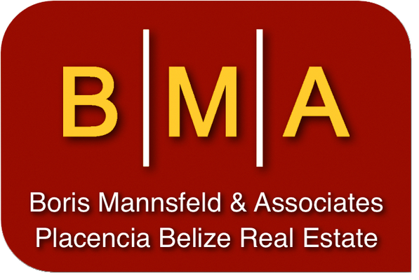 Boris Mannsfeld & Associates
