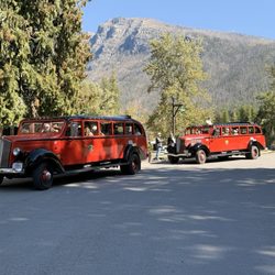 Red Bus Tours - Red bus