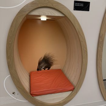 Appleton Public Library - Reading nook - Libraries Near Me - Appleton, Wisconsin