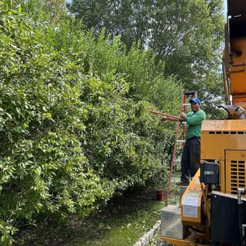 Leo's Tree Care - Tree Services Near Me