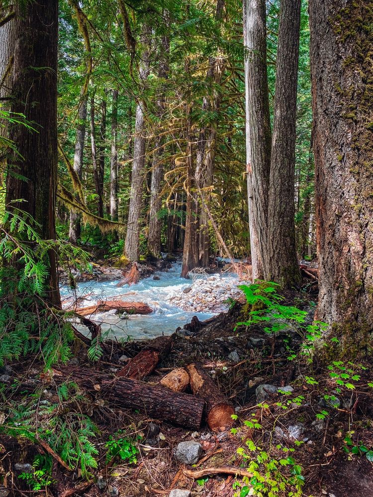 COLONIAL CREEK CAMPGROUND Updated September 2024 20 Photos