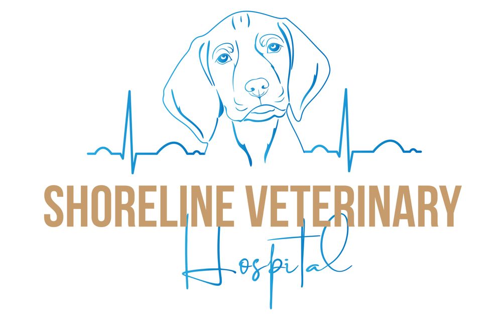 SHORELINE VETERINARY HOSPITAL 669 Bell Fork Rd, Jacksonville, North
