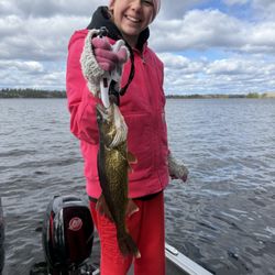 Arrowhead Outdoors