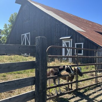 Parr - Wine Tasting Room Near Me - Cambria, California