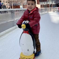 Tristate Ice Management - Penguin made him feel brave