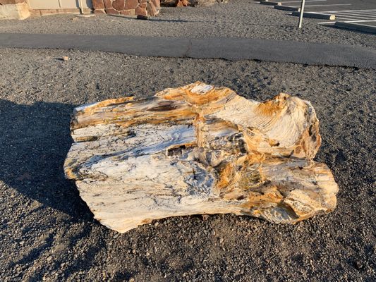 Wanapum Recreation Area by null