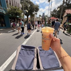Orlando Stroller Rentals - Stroller