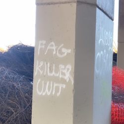 Sutter's Landing Park - Words of hate and threats graffitied under the bridge. Sadly, this has been here for months now.