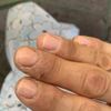 Lex Nails gift card