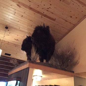 Bar N Ranch - Stuffed bison looking over the entrance. Kind of freaky:) - American Near Me - West Yellowstone, Montana