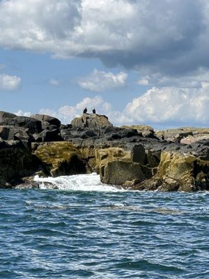 Lulu Lobster Boat Ride by null