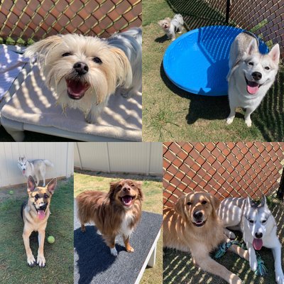 Baxter Veterinary Clinic 36 Photos 22 Reviews Veterinarians 1152 Stonecrest Blvd Tega Cay Sc United States Phone Number