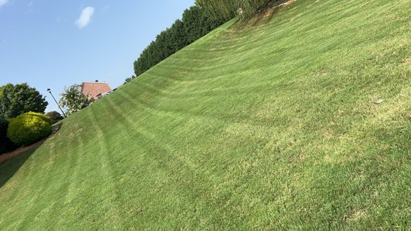 Lawn Maintenance - Enhance your outdoor space with our professional lawn maintenance. We specialize in maintaining a durable lawn year round. Our team works with integrity and honesty. We take pride in our attention to detail and commitment to quality, ensuring each visit is completed to your satisfaction.