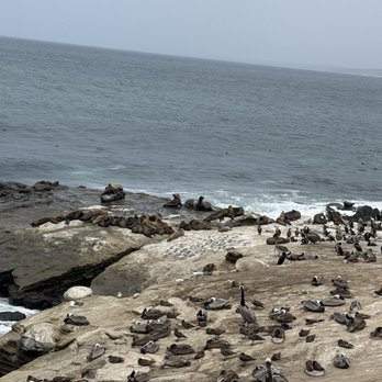 La Jolla Cove - Parks Near Me - La Jolla, California