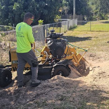 Clean View Tree Services SW Florida - Stump grinding in Cape Coral - Tree Services Near Me - Cape Coral, Florida Clean View Tree Services SW Florida - Stump grinding in Cape Coral - Tree Services Near Me - Cape Coral, Florida