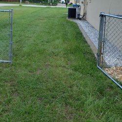 Allen's Sodding Service - After 2 weeks and re-rolled.