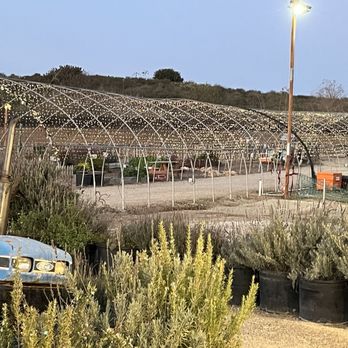 Tanaka Farms - CSA Near Me - Irvine, California Tanaka Farms - CSA Near Me - Irvine, California