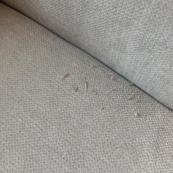 Living Spaces - Damage I expect the warranty to cover - Furniture Stores Near Me - Irvine, California Living Spaces - Damage I expect the warranty to cover - Furniture Stores Near Me - Irvine, California