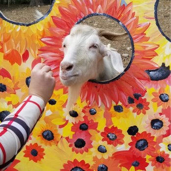 Abma's Farm - Farmers Market Near Me - Wyckoff, New Jersey
