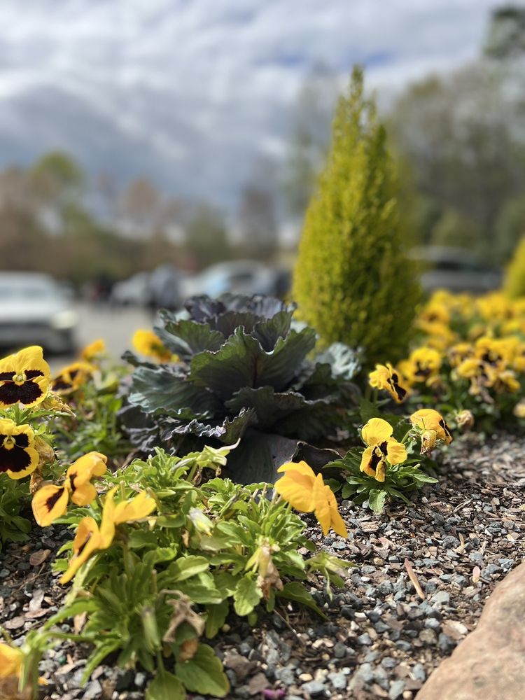 Tanger Family Bicentennial Garden