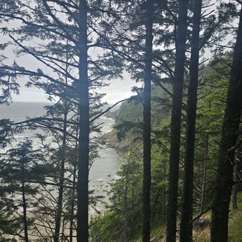Oswald West State Park - Cape falcon hike - Parks Near Me - Manzanita, Oregon Oswald West State Park - Cape falcon hike - Parks Near Me - Manzanita, Oregon
