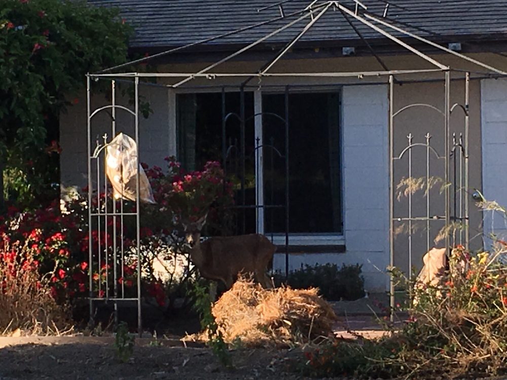 WESTHOPE PRESBYTERIAN CHURCH SARATOGA Updated July 2024 12 Photos