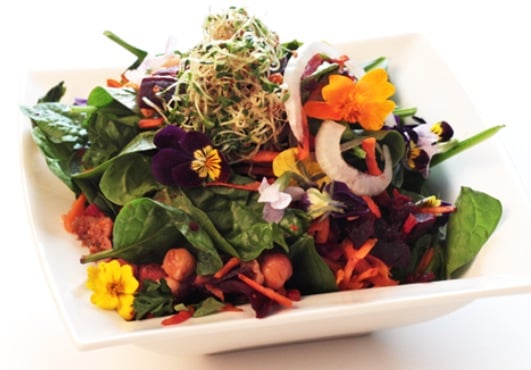 Food Naturally Logo
