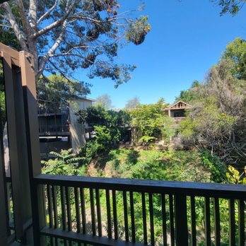 Creekside Inn - View from our room - Hotels Near Me - Palo Alto, California