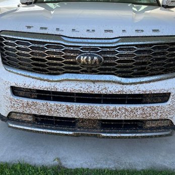 Mike's Termite & Pest Control - Pest Control Near Me - Raceland, Louisiana Mike's Termite & Pest Control - Pest Control Near Me - Raceland, Louisiana