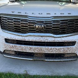 Mike's Termite & Pest Control