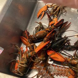 David's Fish Market - Prepping in the sink