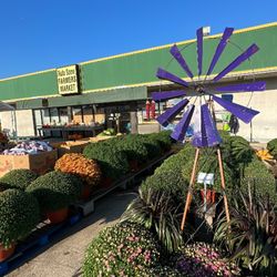 Rufe Snow Farmers Market - Beautiful fall mums!