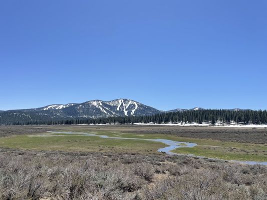 Bike Truckee by null