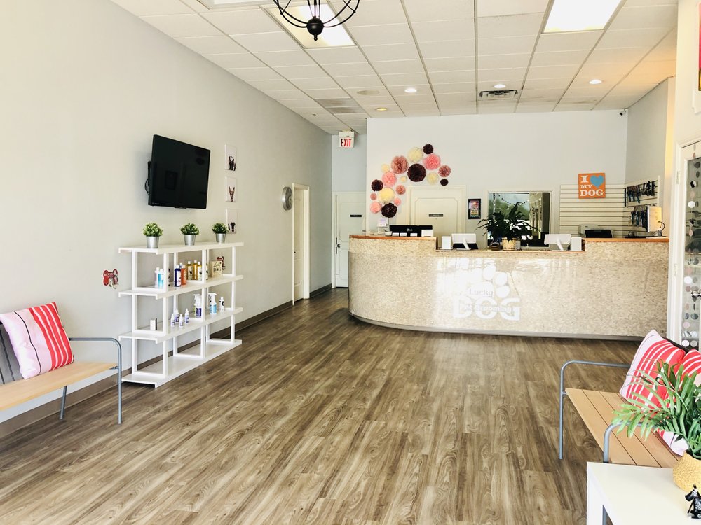 LUCKY DOG PET RETREAT & SPA Updated August 2024 149 Photos & 92