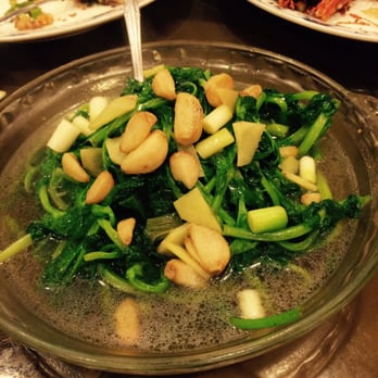 New Golden Gate - Water spinach - Chinese Near Me - Boston, Massachusetts New Golden Gate - Water spinach - Chinese Near Me - Boston, Massachusetts