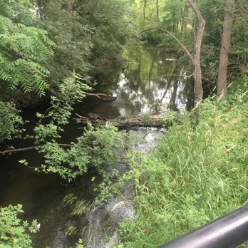 Chocolatea - View from the deck! - Desserts Near Me - Portage, Michigan
