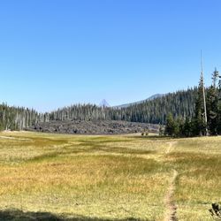 Hand Lake trail ( Mt Washington and the small pool in the distance)