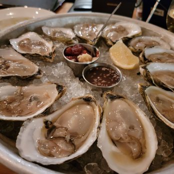 The Daily Catch - Oysters - Seafood Near Me - Boston, Massachusetts The Daily Catch - Oysters - Seafood Near Me - Boston, Massachusetts