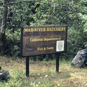 Mad River Fish Hatchery - Local Flavor Near Me - Arcata, California