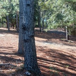 Walton County Dog Park - More dog park