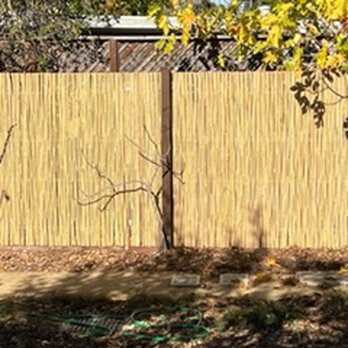 Alejandro's Fence - Alejandro built this bamboo enclosure for us. - Fences & Gates Near Me Alejandro's Fence - Alejandro built this bamboo enclosure for us. - Fences & Gates Near Me