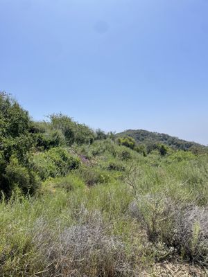 Claremont Hills Wilderness Park by null
