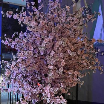 Pho Vietnamese Cuisine - a cherry tree in a vase - Vietnamese Near Me - St. George, Utah