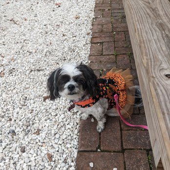 The Backyard - Lulu loves the Backyard - American Near Me - Seabrook, Texas The Backyard - Lulu loves the Backyard - American Near Me - Seabrook, Texas